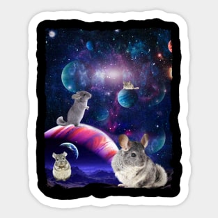 Chinchilla Funny Pogona Galaxy Stars Universe Rodents Sticker